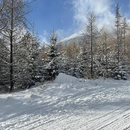 Branisko - Novy Smokovec Апартаменты