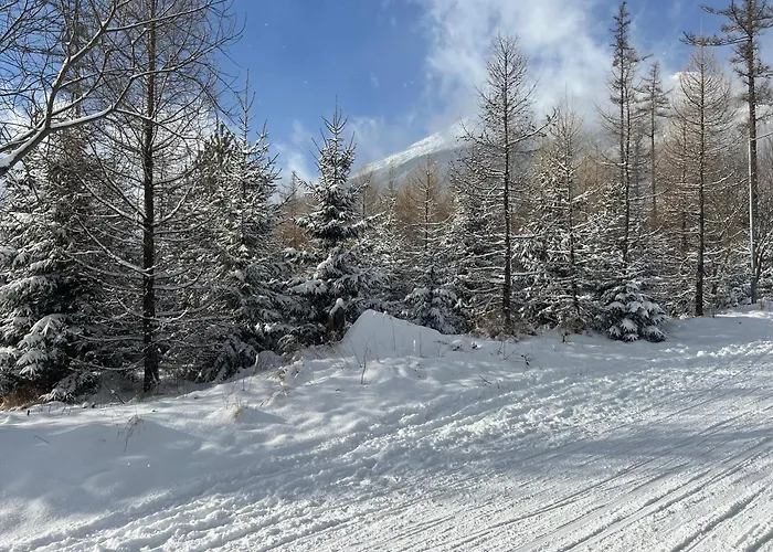 Branisko - Novy Smokovec 아파트